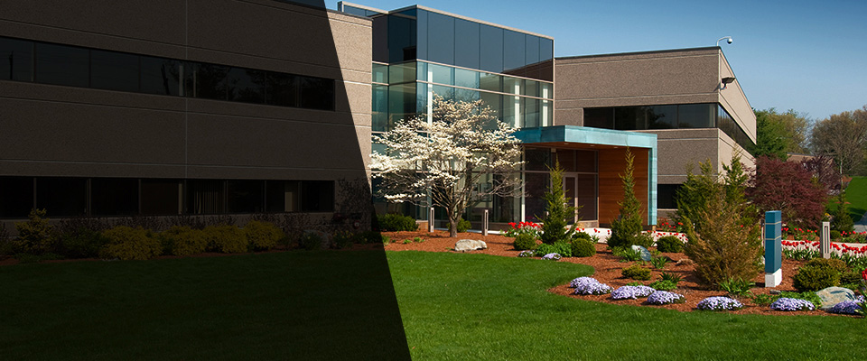 Grapeland Landscapers